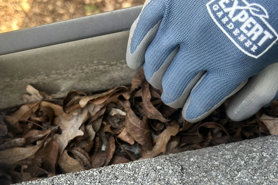 Gutter Cleaning Garner NC